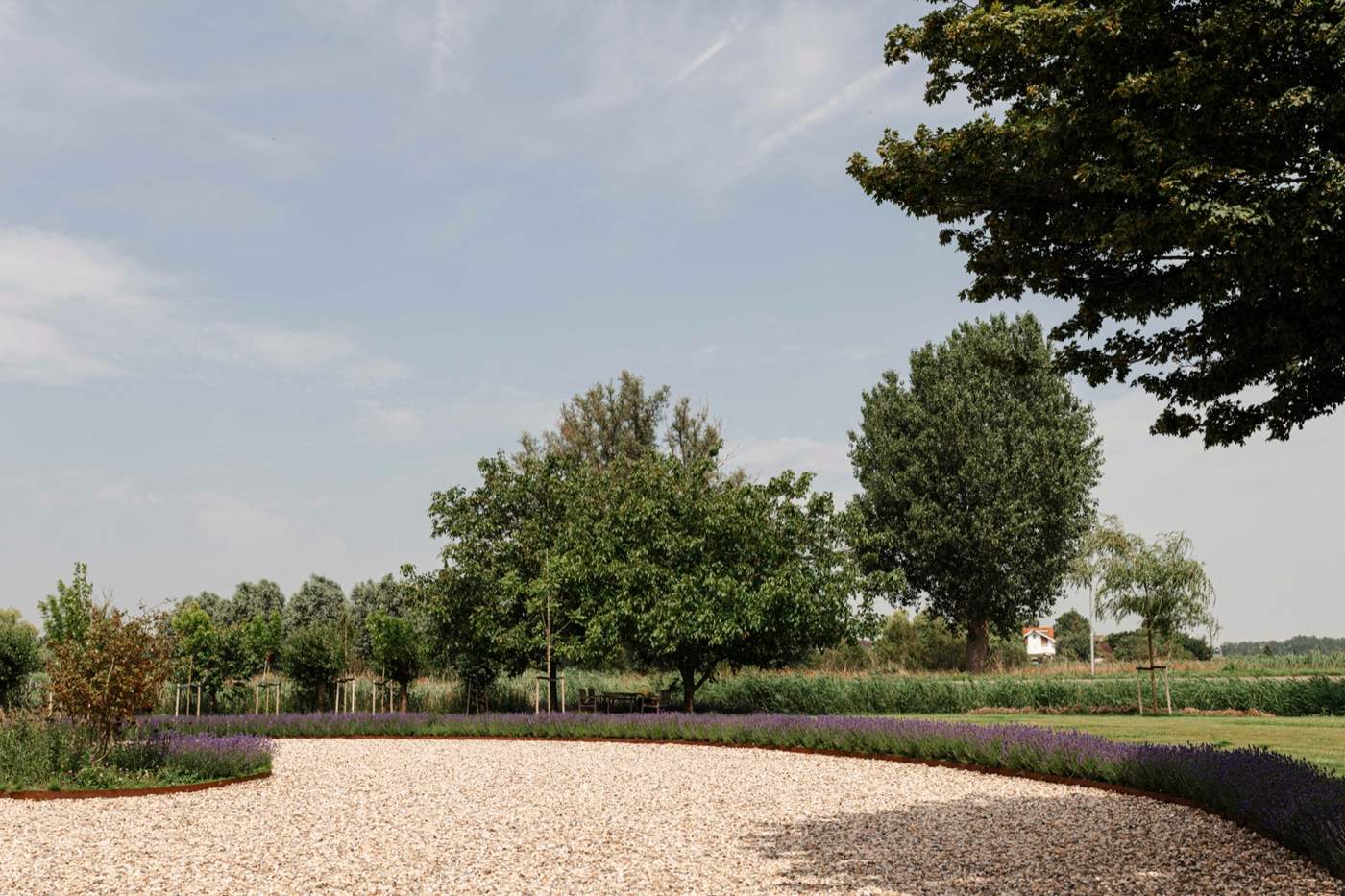 Landelijke tuin met grindoprit, bloeiende borders en volwassen bomen  Van der Lee Hovenier