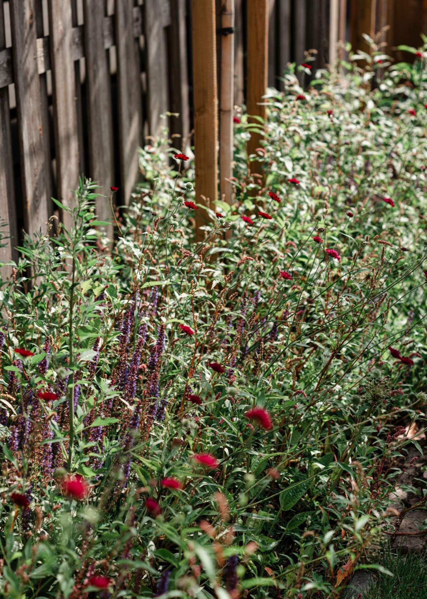 Veranda en natuurlijke tuinbeleving in perfecte balans  Van der Lee Hovenier