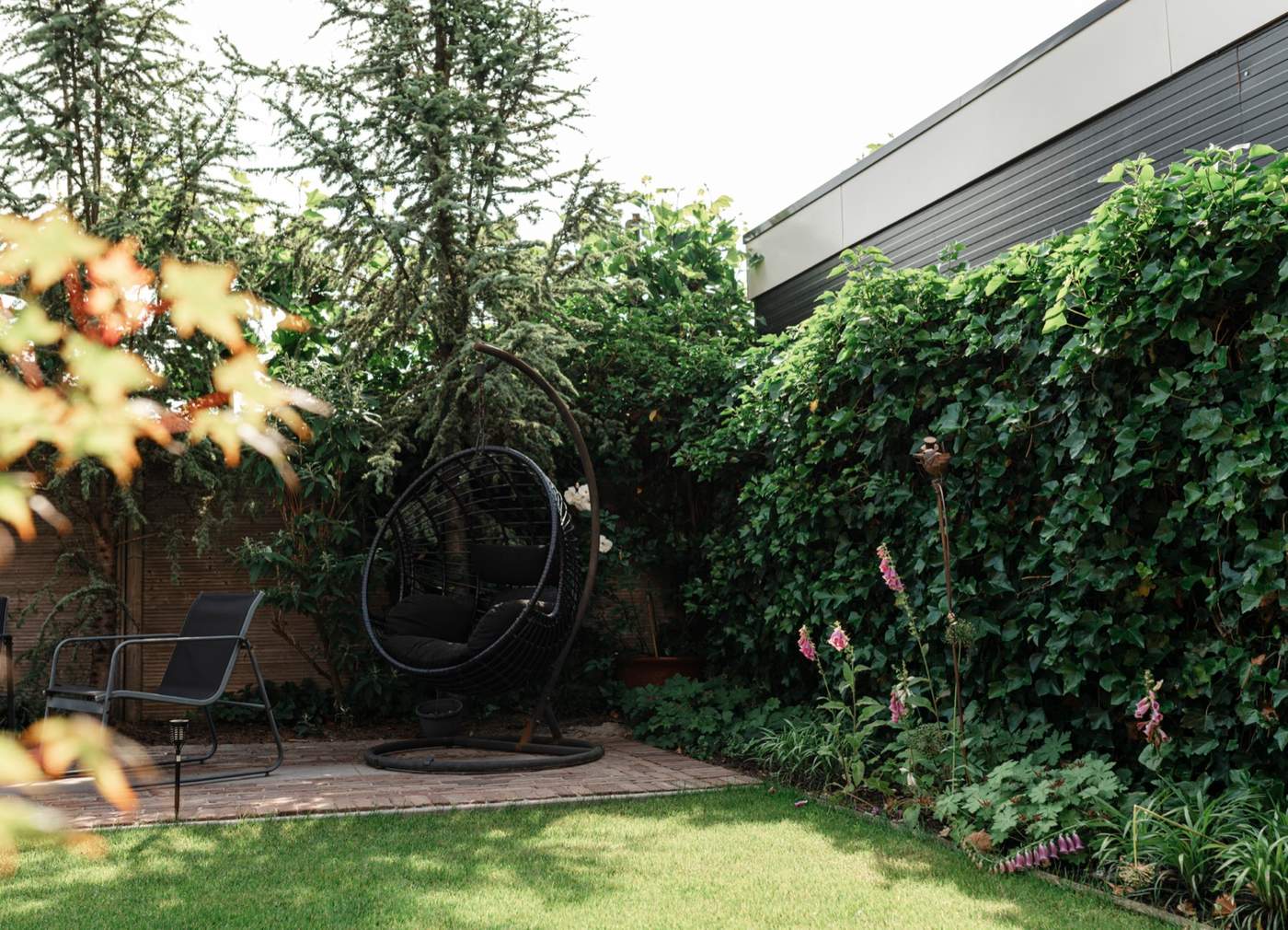 Veranda en natuurlijke tuinbeleving in perfecte balans  Van der Lee Hovenier