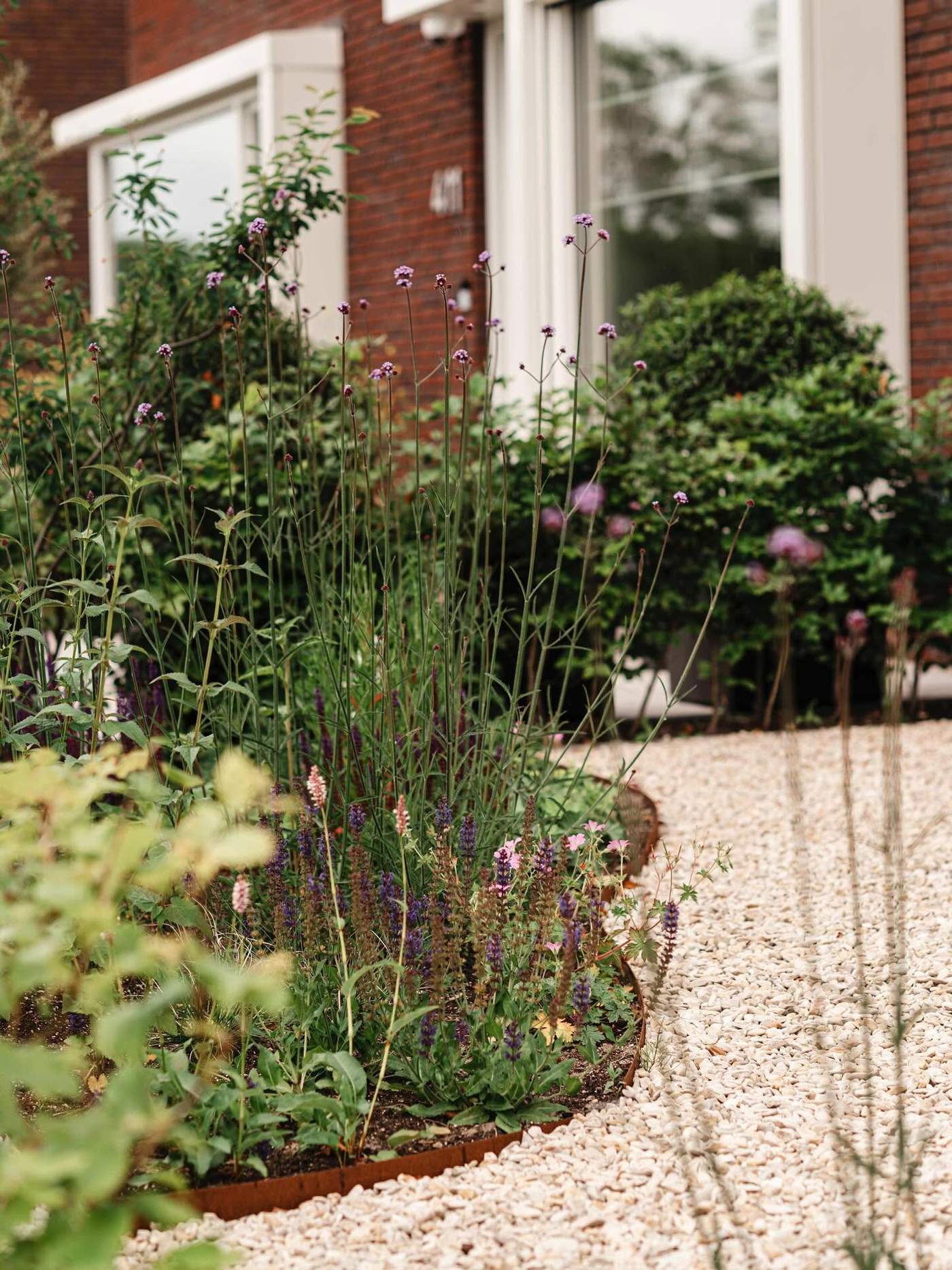 Moderne onderhoudsvriendelijke tuin met luxe uitstraling  Van der Lee Hovenier