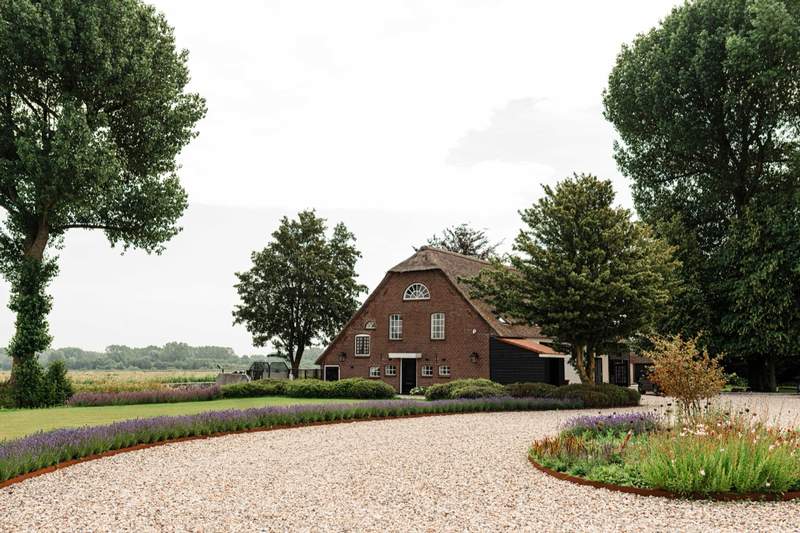 Landelijke tuin met grindoprit, bloeiende borders en volwassen bomen  Van der Lee Hovenier